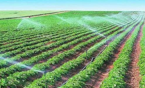 玩粉屄农田高 效节水灌溉